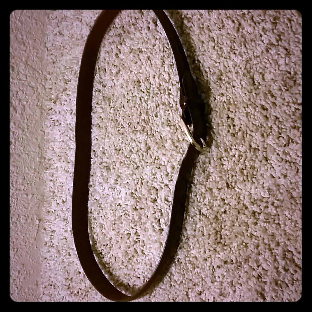 Coach Belt